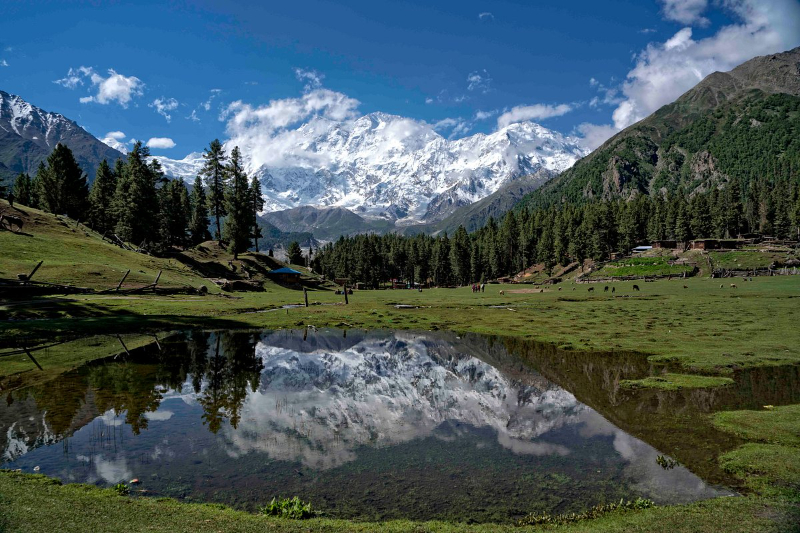 Fairy Meadows-Nationalpark, Pakistan - Fairy Meadows | Secret World Trip Planner