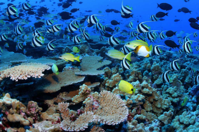 Parque Marino de Montego Bay - Montego Bay | Secret World Trip Planner