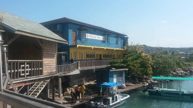 Parque Marino de Montego Bay - Montego Bay | Secret World Trip Planner