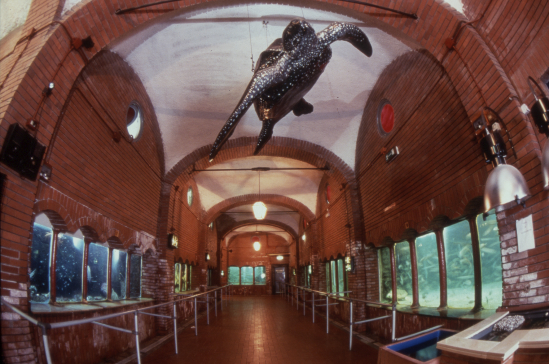 สถานีสวนสัตว์ Anton Dohrn แห่งเนเปิลส์ - Napoli | Secret World Trip Planner