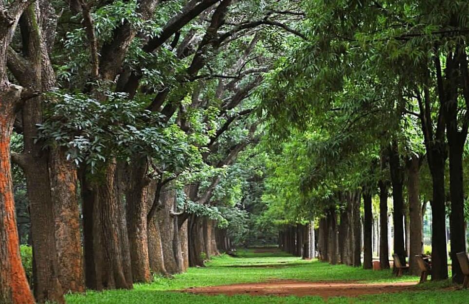 Bangalore | Cubbon Park - Bangalore | Secret World Trip Planner