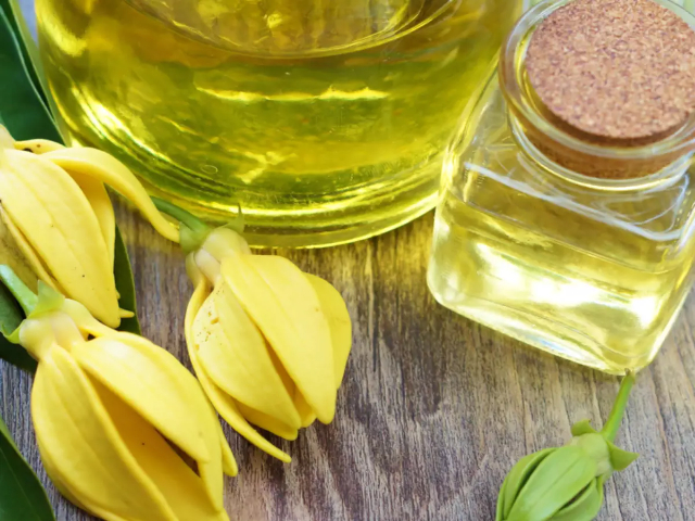 Essences d'ylang-ylang - Nosy Be | Secret World Trip Planner