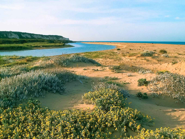 Rezervația naturală orientată „Foce del Fiume Platani” - Ribera | Secret World Trip Planner