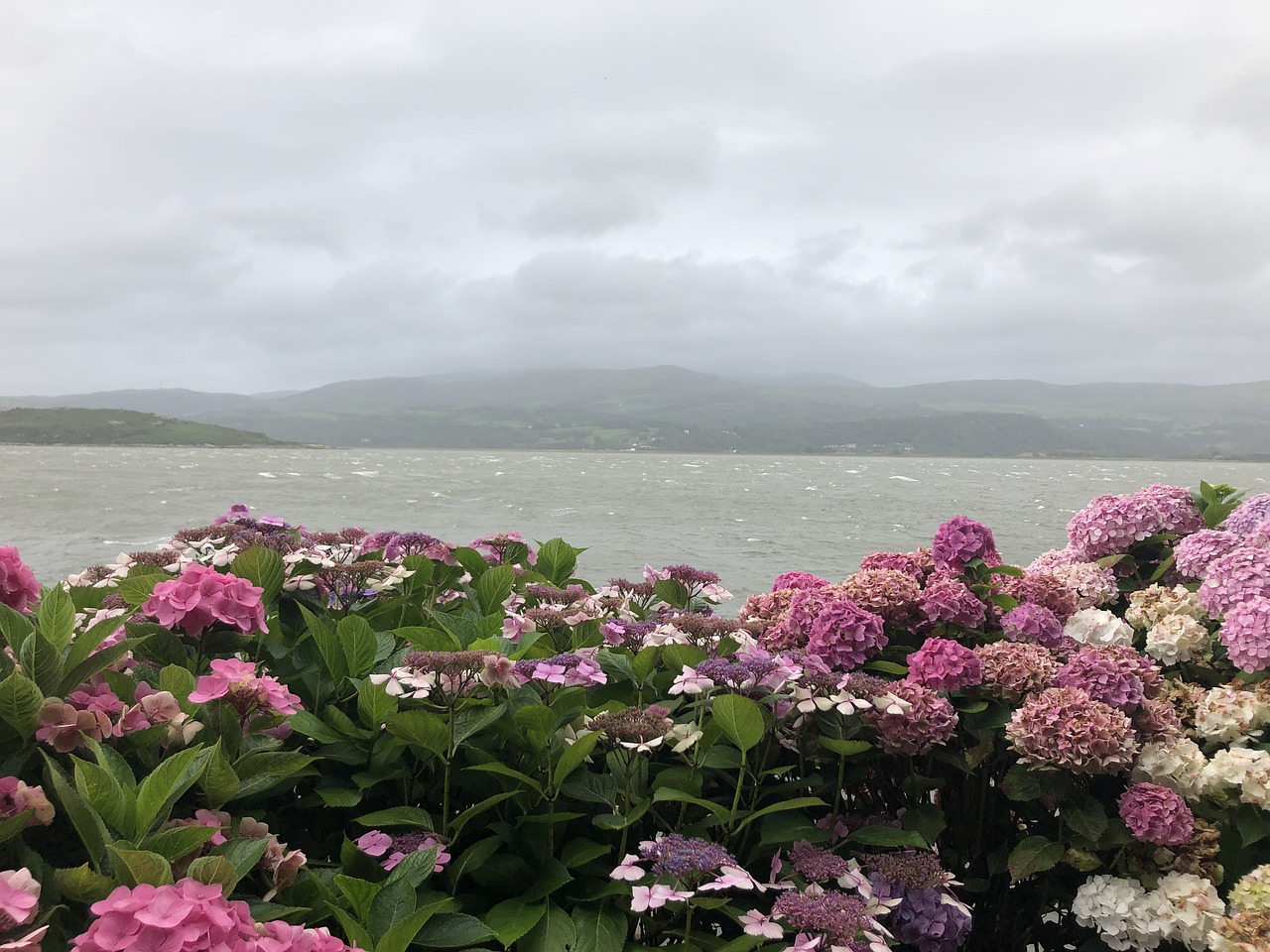 Portmeirion: il confine con il fantasyland - Portmeirion | Secret World Trip Planner
