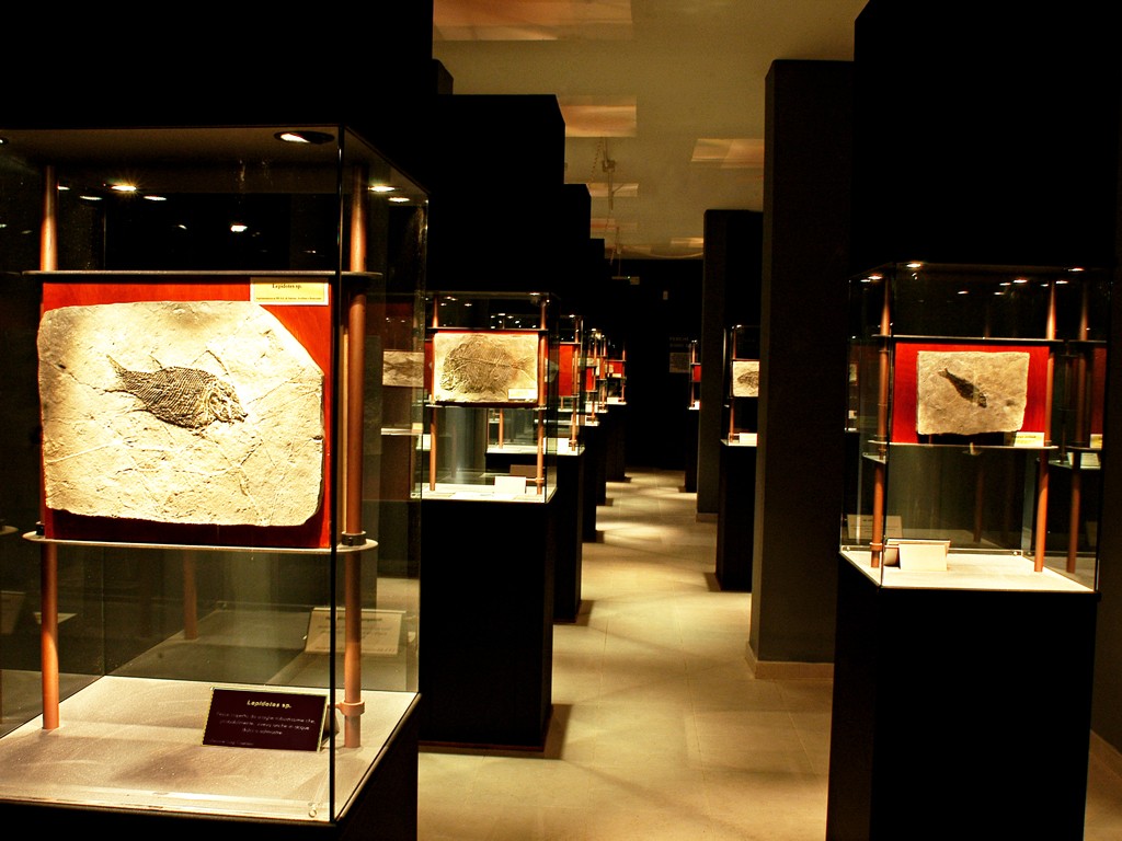 Paleolab Geo-palaeontological Park - Pietraroja | Secret World Trip Planner