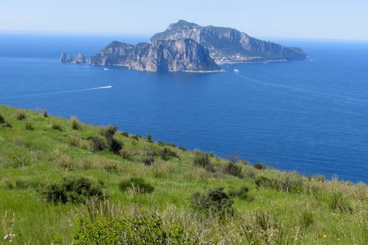 Titik Campanella - Area naturale marina protetta Punta Campanella | Secret World Trip Planner