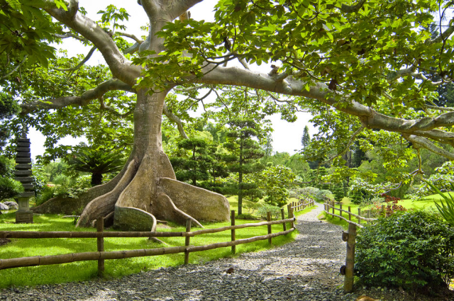 Jardin botanique national - Santo Domingo | Secret World Trip Planner