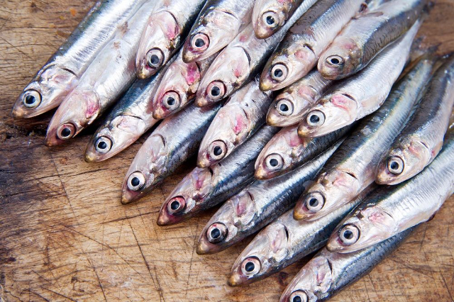 Monteroso inćuni - Monterosso al Mare | Secret World Trip Planner