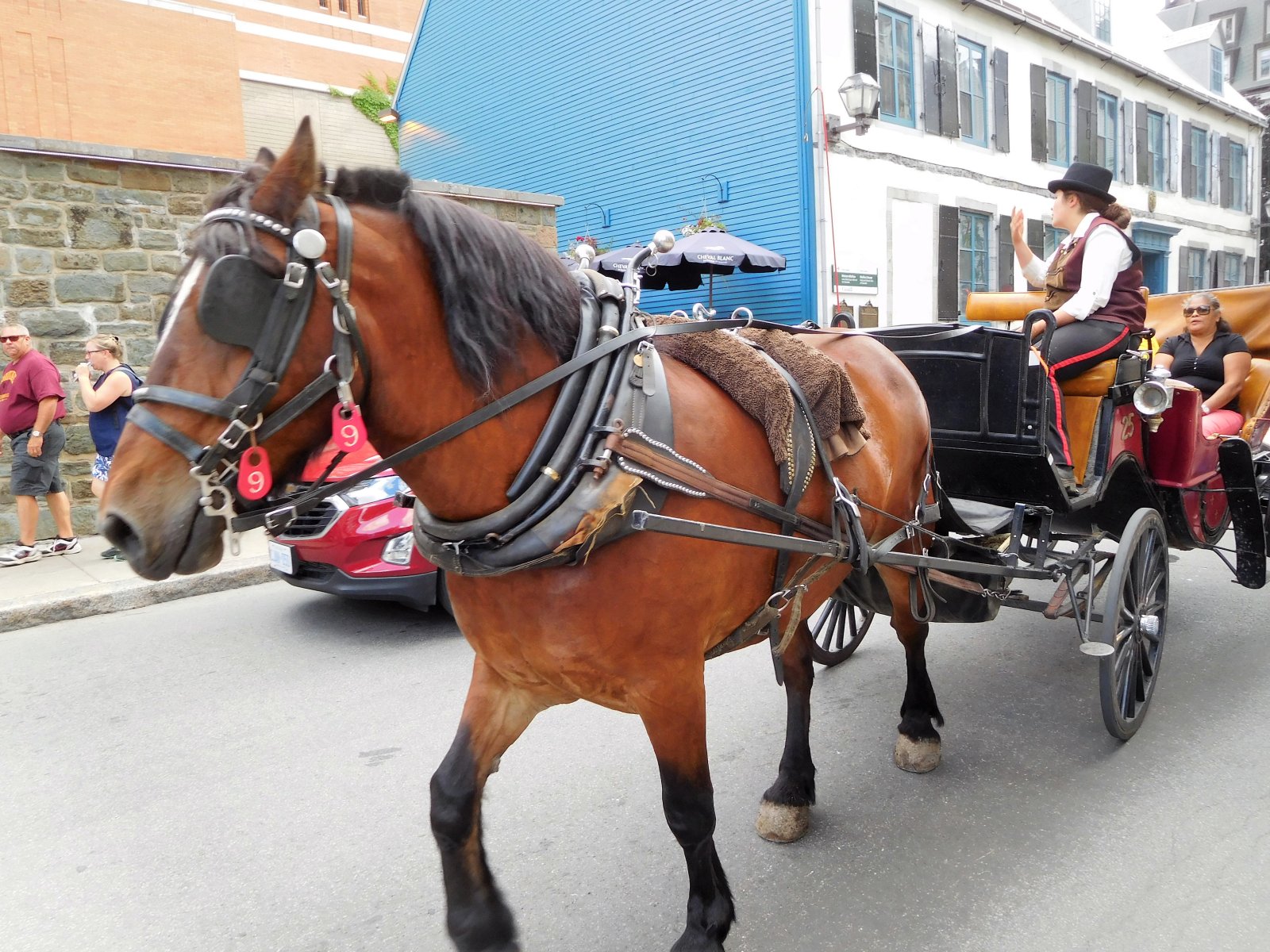 El Viejo Quebec es muy pintoresco y encantador - Québec City | Secret World Trip Planner