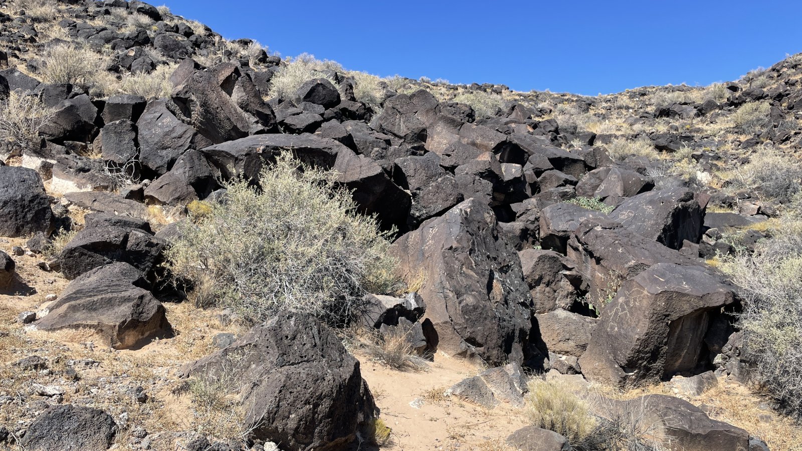 Petroglyph నేషనల్ మాన్యుమెంట్ - Albuquerque | Secret World Trip Planner