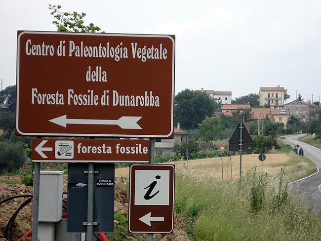 ダナロバ化石の森 - 46 | Secret World Trip Planner