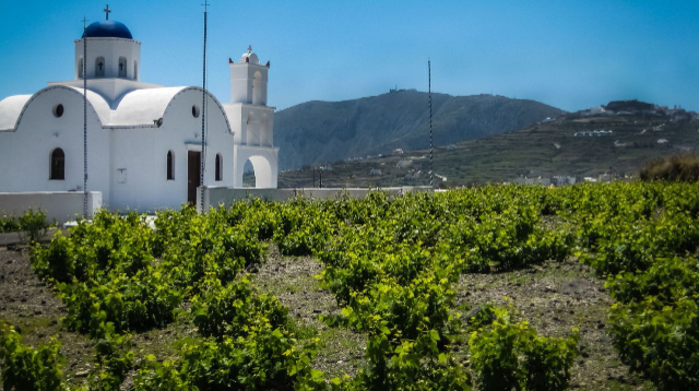 Vinurile din Santorini: Aurul lichid al Mării Egee - Santorini | Secret World Trip Planner