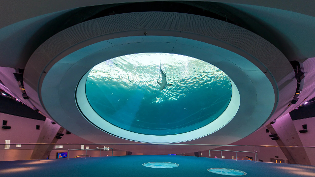 பிலிப் மற்றும் பாட்ரிசியா ஃப்ரோஸ்ட் மியூசியம் ஆஃப் சயின்ஸ் - Miami | Secret World Trip Planner