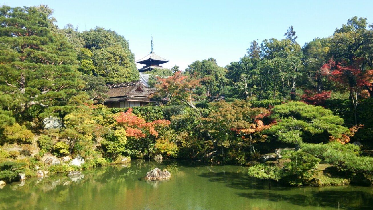 Ninnaji jest jedną z wielkich świątyń Unesco w Kioto - Ky?to-shi | Secret World Trip Planner