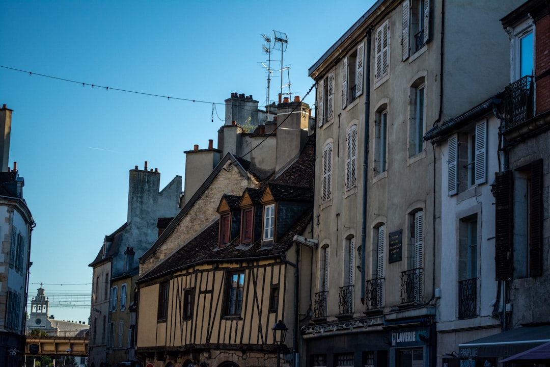 Francia y comida | Mostaza de Dijon - Digione | Secret World Trip Planner