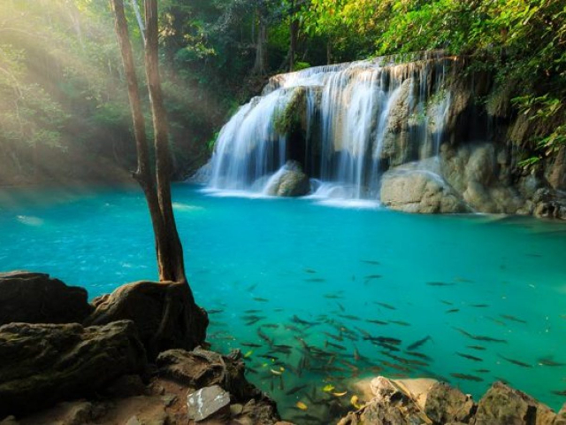 Les chutes d'Erawan — Tha Kradan