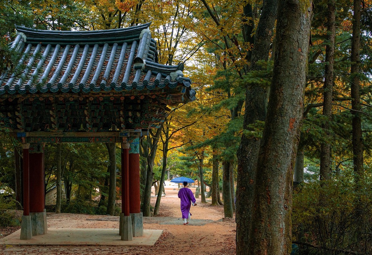 El Tripitaka Koreana, Templo Haeinsa, Corea del Sur - Hapcheon | Secret World Trip Planner