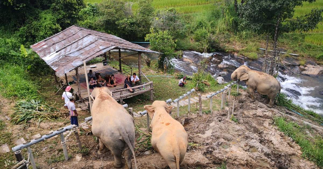 चांगचिल हाथी अभयारण्य - Tambon Mae Win | Secret World Trip Planner