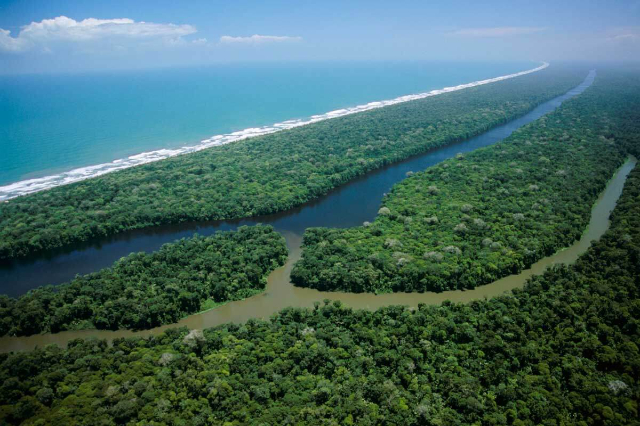 Parque Nacional de Tortuguero - Provincia di Limón | Secret World Trip Planner