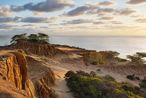 Reserva Natural del Estado de Torrey Pines - La Jolla | Secret World Trip Planner