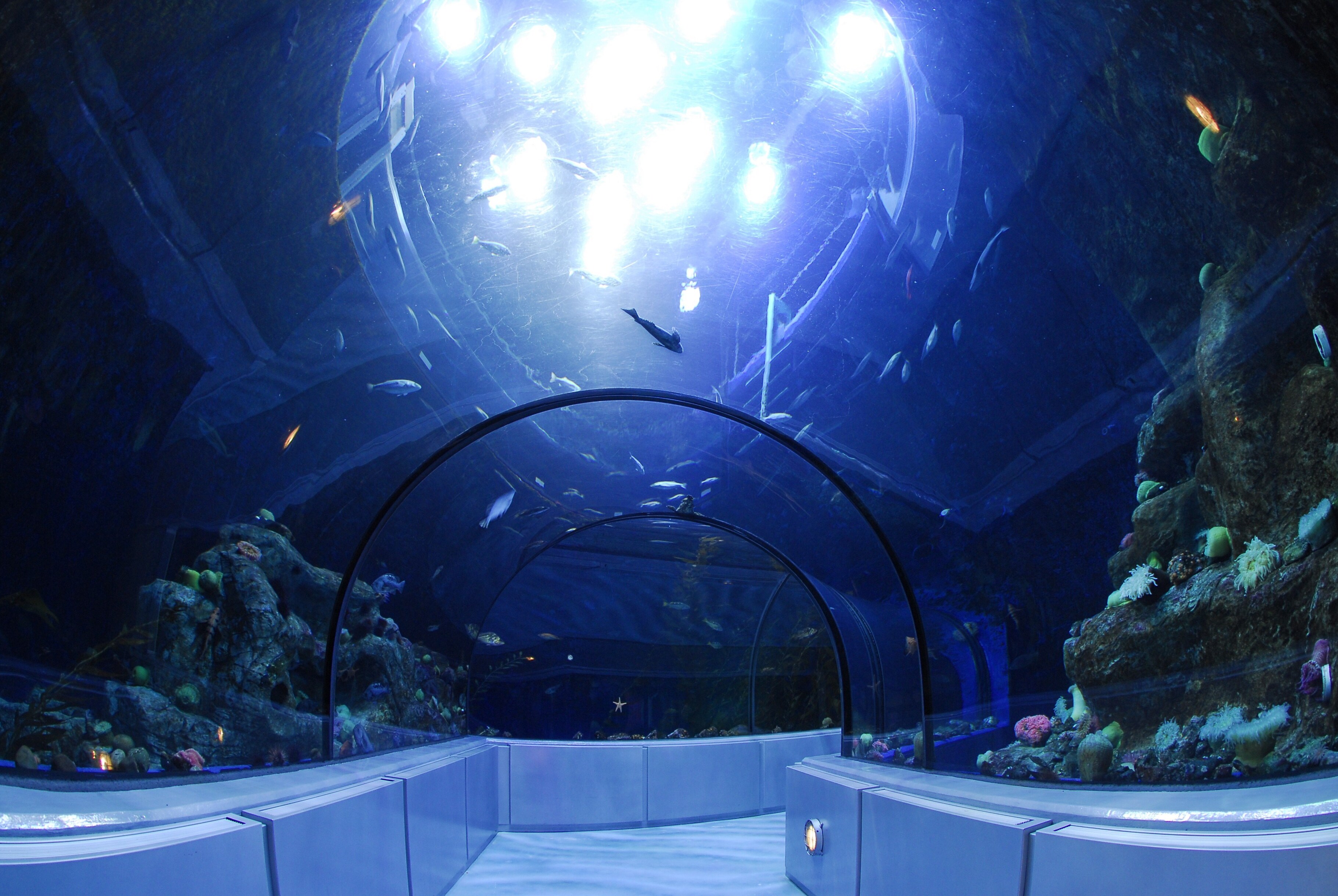 Parque Acuario de Québec - Québec | Secret World Trip Planner