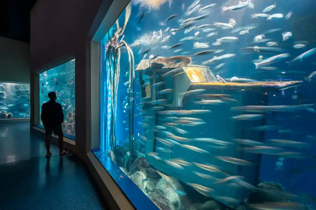 Acquario Finisteria - A Coruña | Secret World Trip Planner