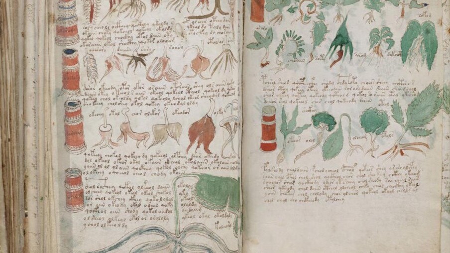 El manuscrito de Voynich: El manuscrito más misterioso del mundo — New Haven