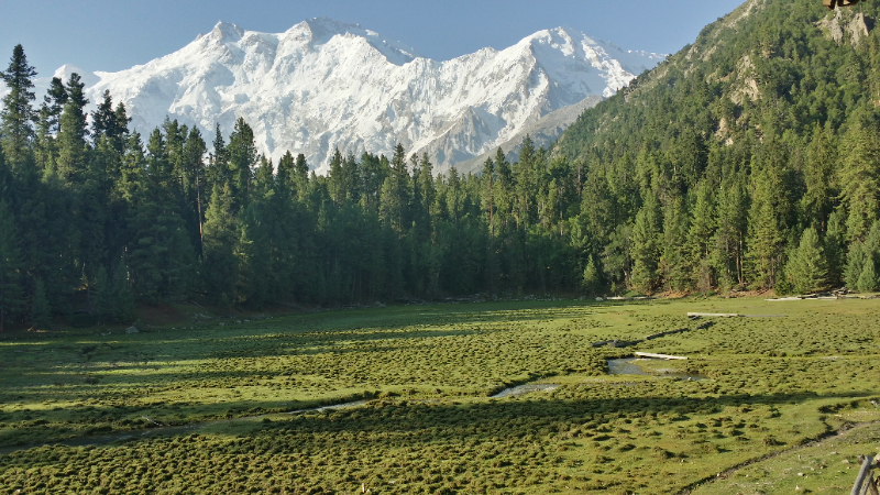 Parco nazionale Fairy Meadows, Pakistan - Fairy Meadows | Secret World Trip Planner