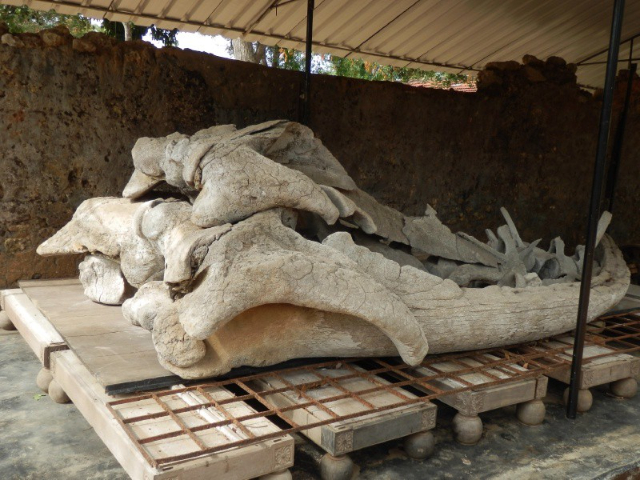 Archäologisches Museum, Jaffna - Jaffna | Secret World Trip Planner
