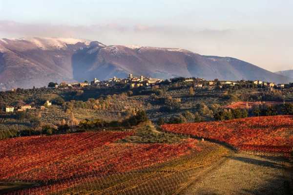 Sagrantino de Montefalco - Montefalco | Secret World Trip Planner