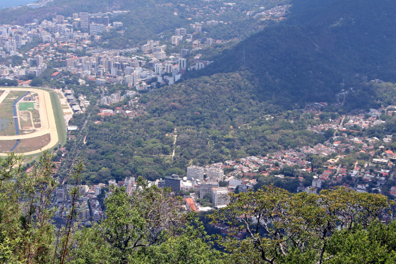 Bustani ya Mimea, Rio de Janeiro - Jardim Botânico | Secret World Trip Planner