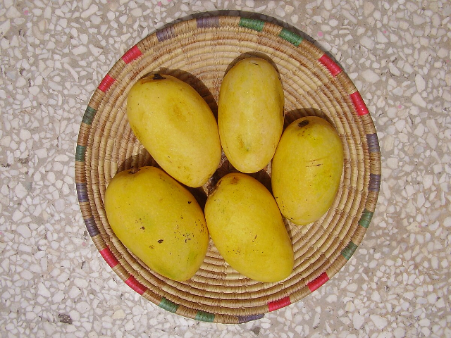 Chaunsa mango — Kurukshetra