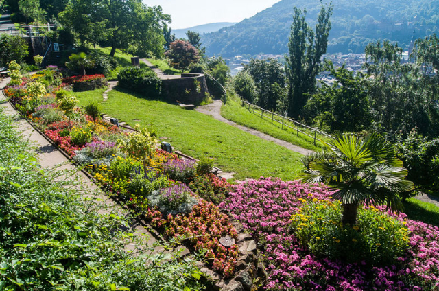 Filosofens trädgård - Heidelberg | Secret World Trip Planner