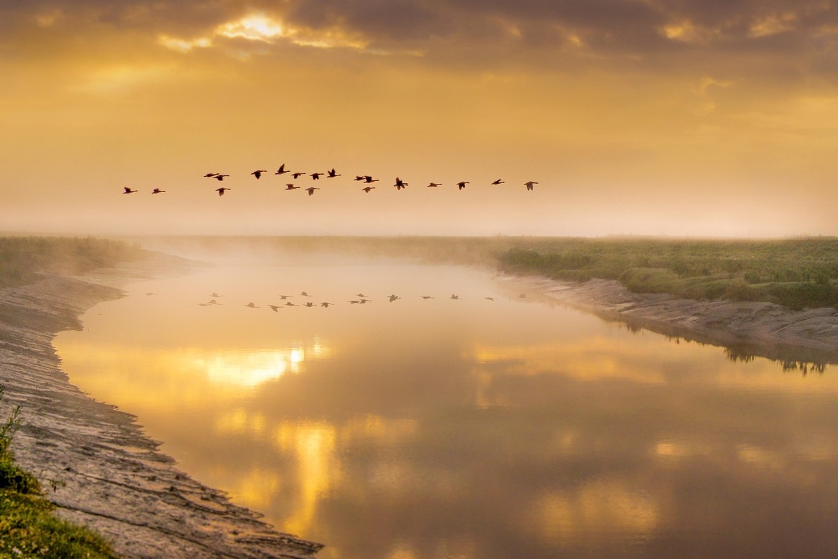 El coñac y la orilla del río Charente - La Rochelle | Secret World Trip Planner