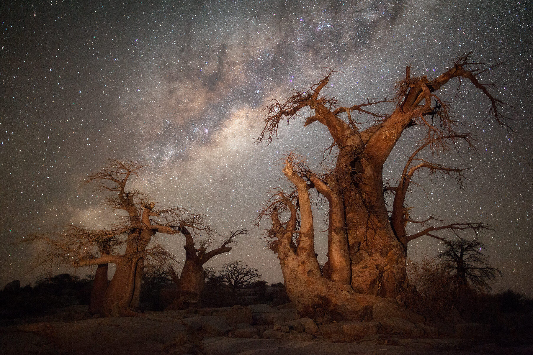 Kubu Island, Makgadikgadi Pan, Botswana - Kubu Island | Secret World Trip Planner