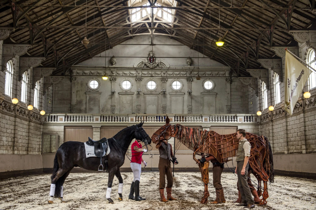 Scuola di equitazione olandese - Amsterdam | Secret World Trip Planner
