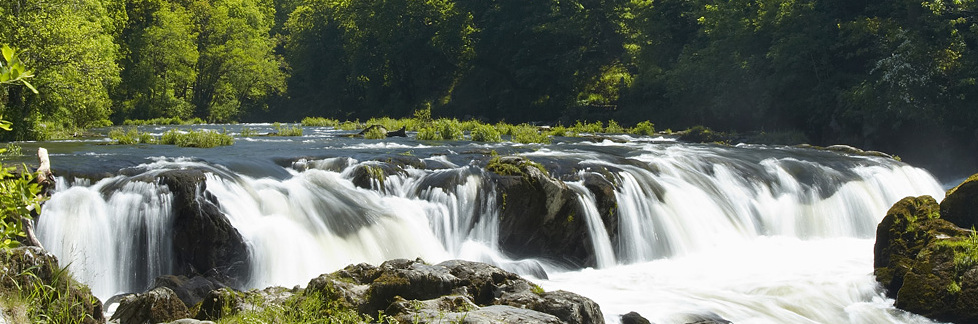 Las cataratas de Cenarth en el río Teifi — Cenarth