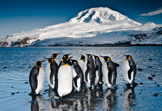 Islas Heard y McDonald | Secret World Trip Planner