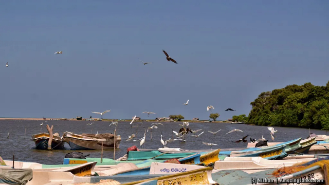 Laguna de Kokkilai - Kokkilai Lagoon | Secret World Trip Planner