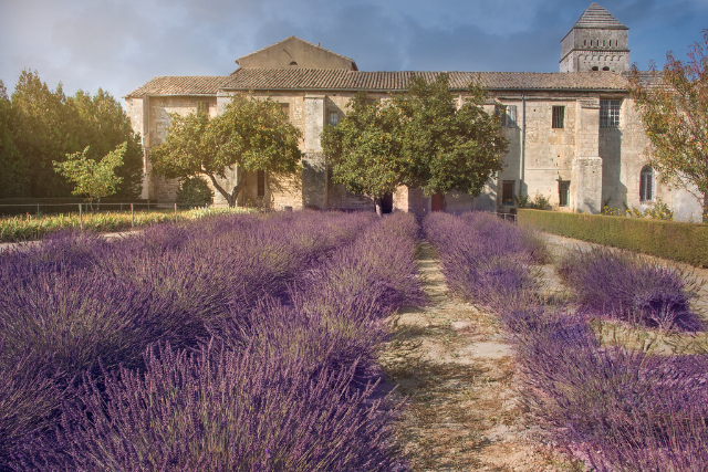Van Gogh a kláštor Saint-Paul-de-Mausole - Saint-Rémy-de-Provence | Secret World Trip Planner