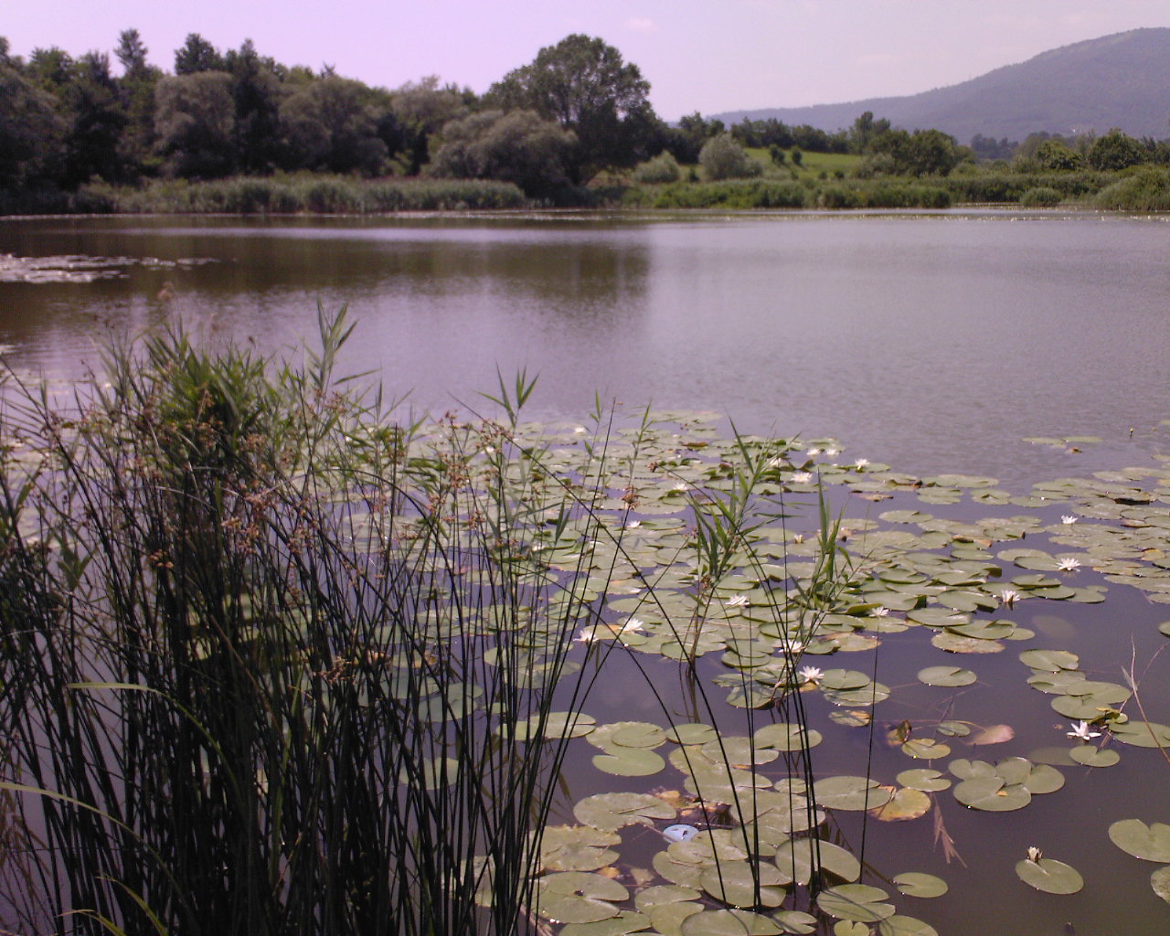 Turberas de Sebino - Iseo | Secret World Trip Planner