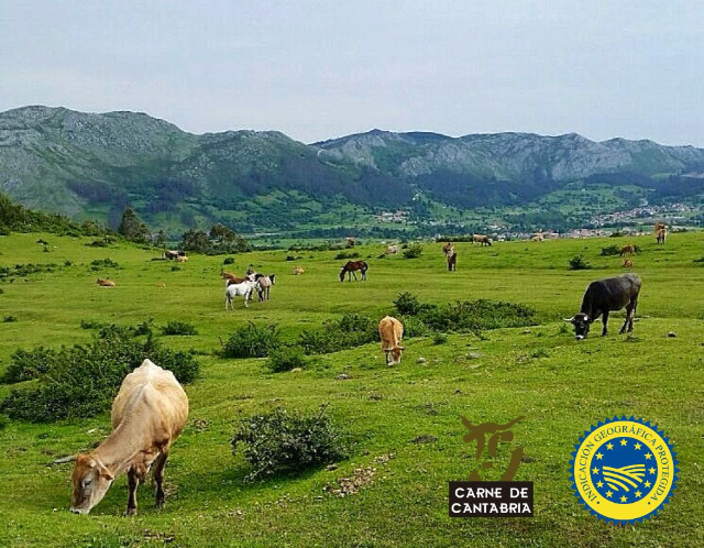Carne di Cantabria - Tudanca | Secret World Trip Planner