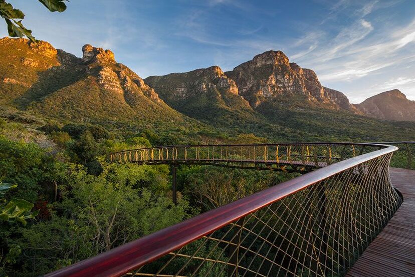 Kirstenbosch, il giardino botanico sudafricano di fama mondiale — Cape Town