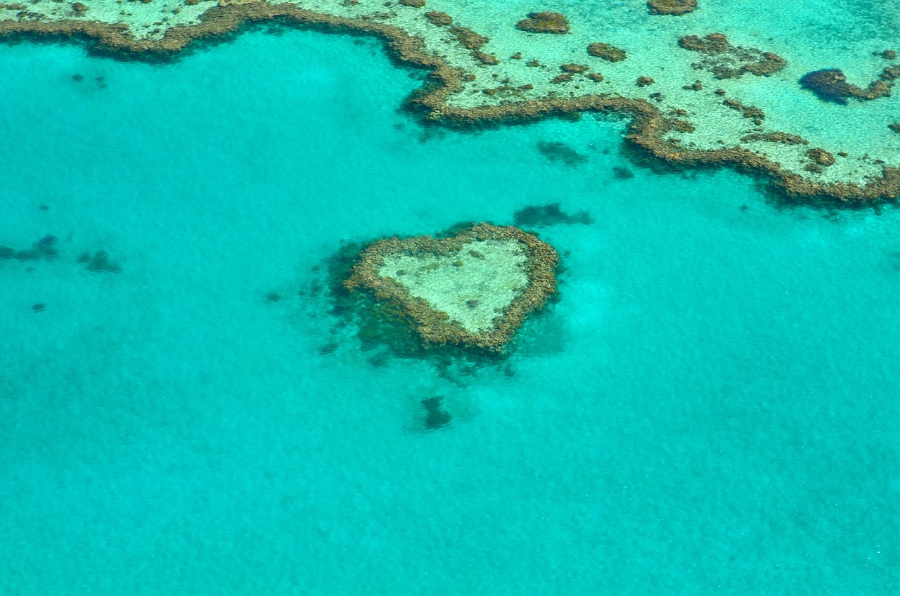 Il più grande sistema di barriera corallina del mondo, la Grande Barriera Corallina - Grande barriera corallina | Secret World Trip Planner