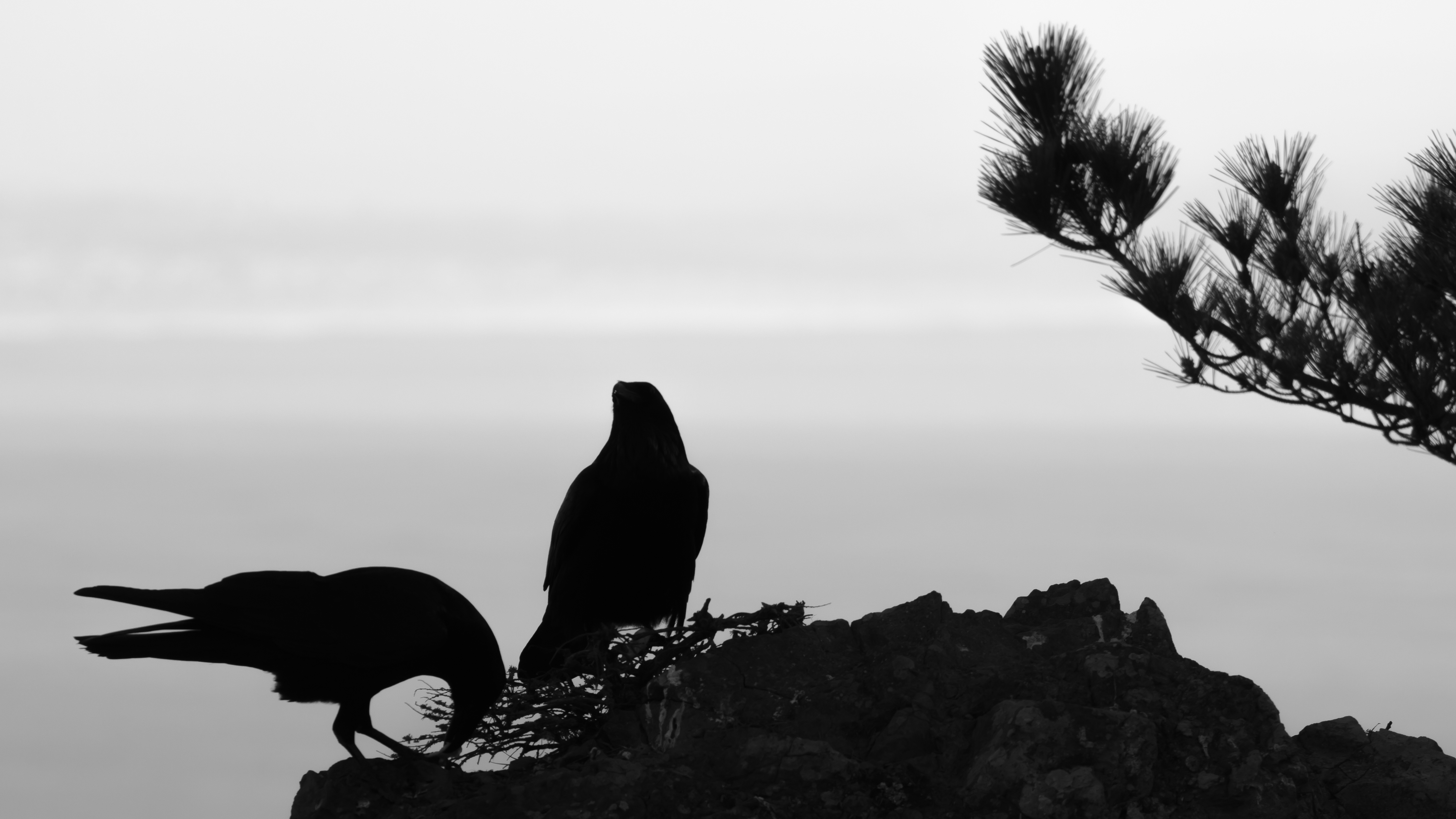 California | Muir Beach (la playa) - Spiaggia di Muir | Secret World Trip Planner
