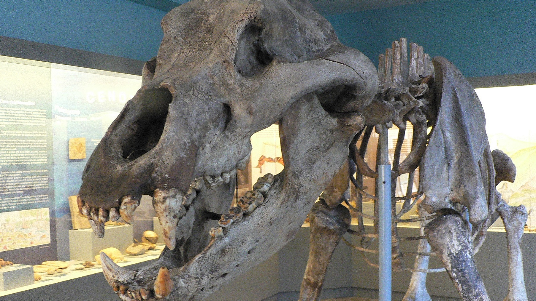 Archäologisches Museum im Sandtal - Gavardo | Secret World Trip Planner