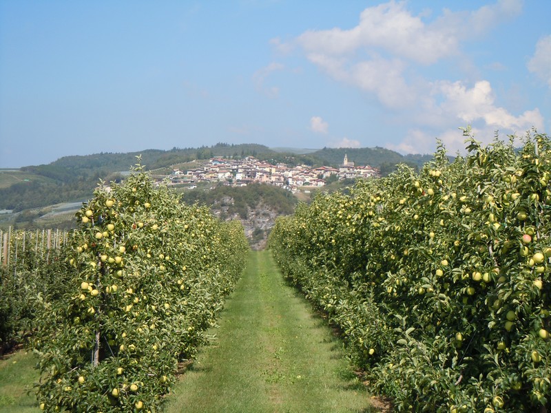 Val di Non-eko sagastiak - Val di Non | Secret World Trip Planner