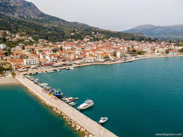 Astakos : La beauté résiliente d'une communauté inspirée par le chêne — Astakos