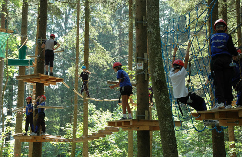 Bosque de pinos de Tribucchi - Castello | Secret World Trip Planner
