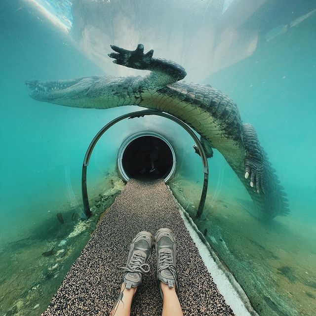 Parque Zoológico de Miami-Dade - Miami | Secret World Trip Planner